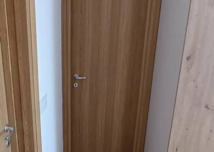 Nit * ズラティボール