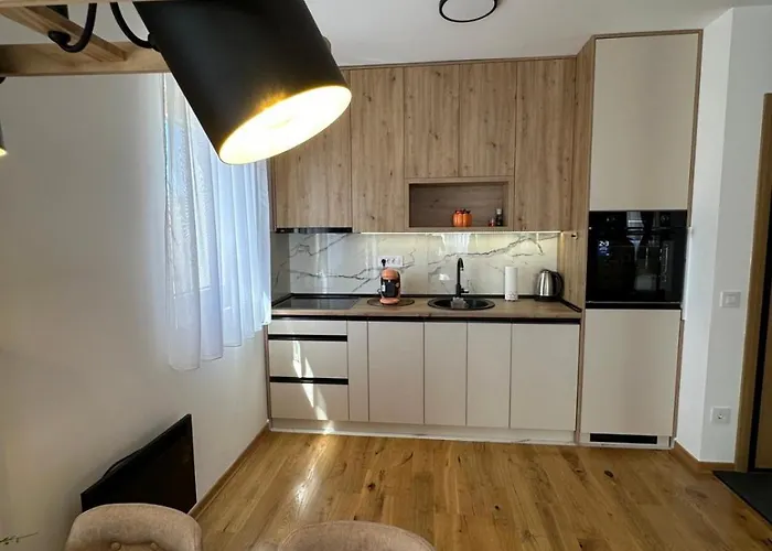 Nit ズラティボール